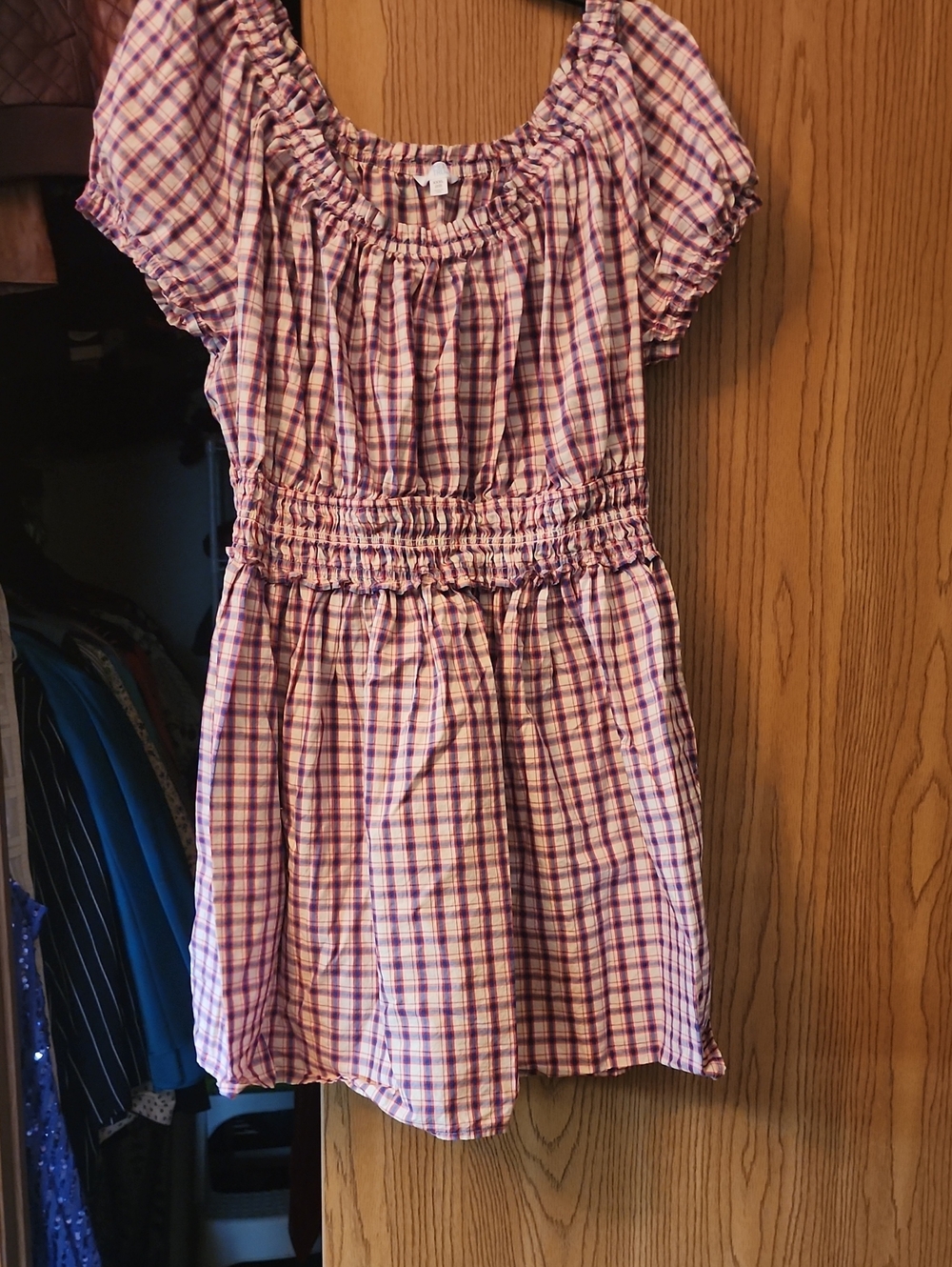Time and Tru Pink and Purple Plaid Smocked Waist Dress